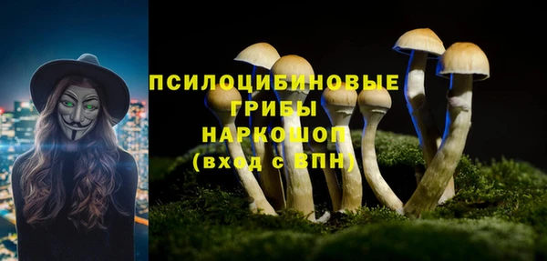 a pvp Абдулино