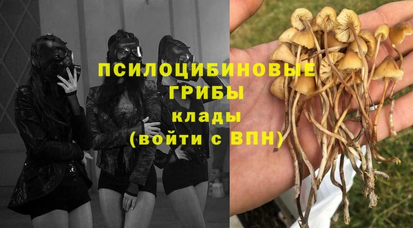 a pvp Абдулино